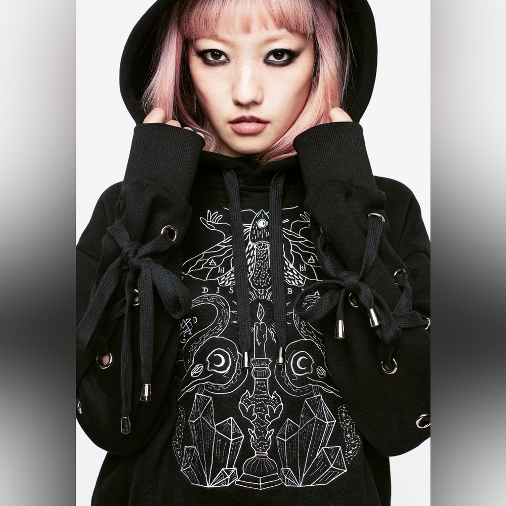 Disturbia Angitia Embroidered Crop Hoody US 2 / UK 6 - Picture 6 of 8